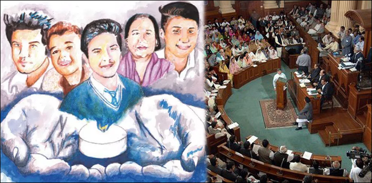 Resolution tabled in Punjab assembly to pay tribute to APS martyrs