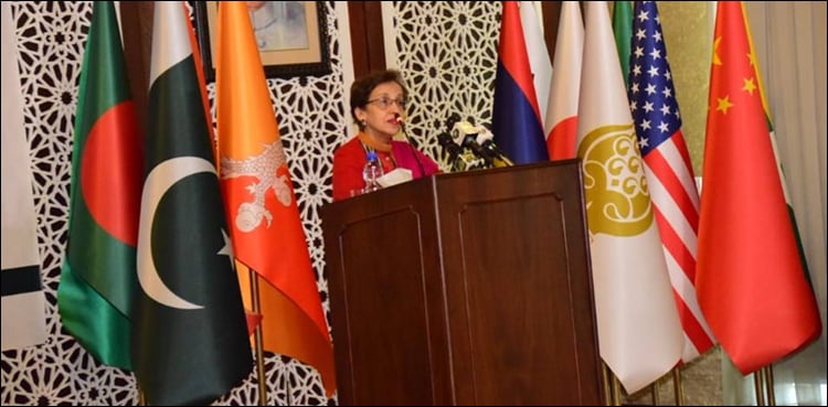 Pakistan committed to principles of SAARC charter: Tehmina
