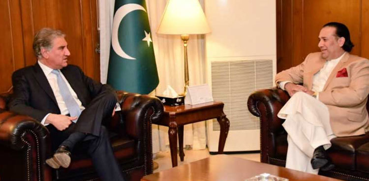 Govt committed to resolve issues of GB people: FM Qureshi