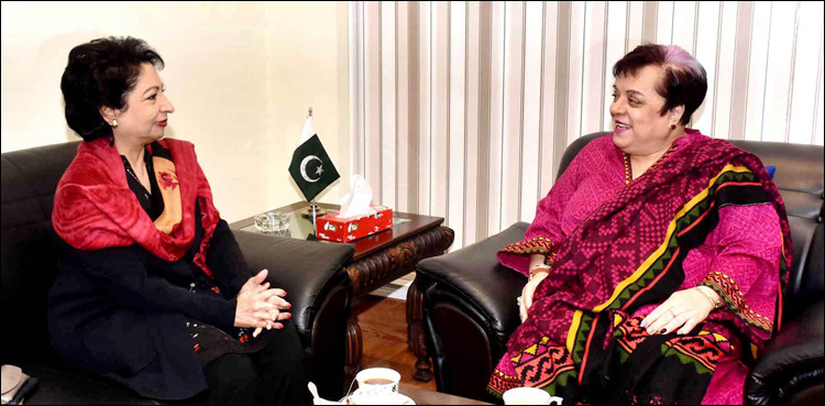 Shireen Mazari, Maleeha Lodhi discuss human rights, gender empowerment issues