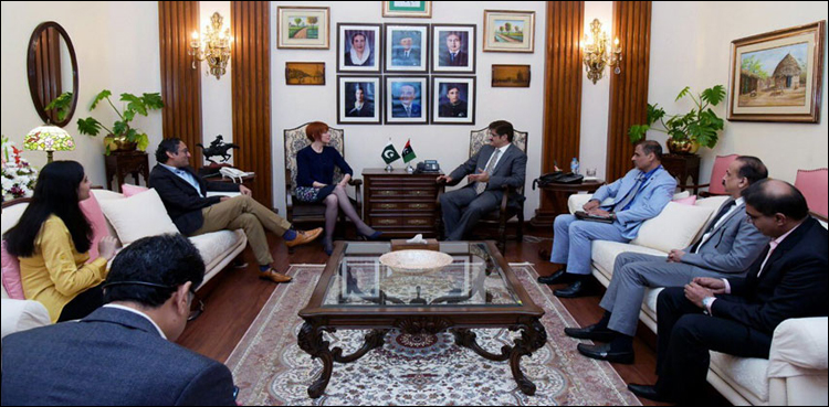 Rs2bn being spent annually to control hepatitis disease: CM Sindh
