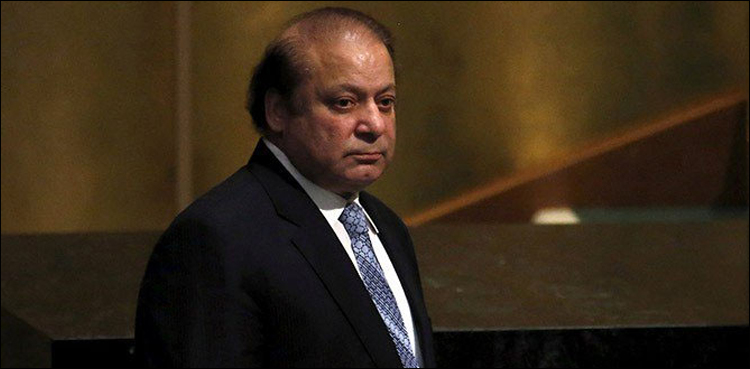 Nawaz Sharif's platelets count to improve gradually: Prof Mehmood Ayaz