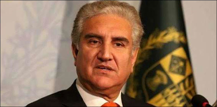 Pakistan committed to building a strong, prosperous neighbourhood: Qureshi