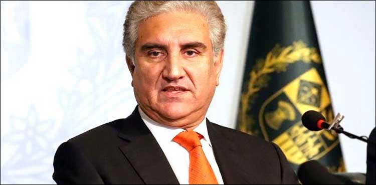 FM Qureshi urges HR groups to stop Indian barbarism in IoK