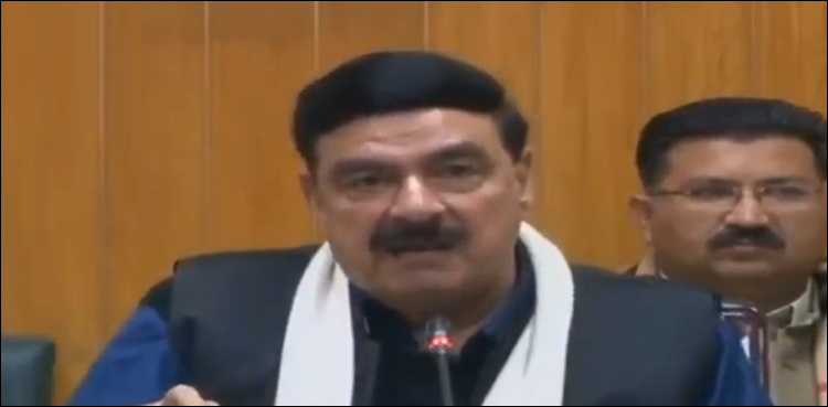 More decisions against corrupt mafia in 2019: Sheikh Rasheed