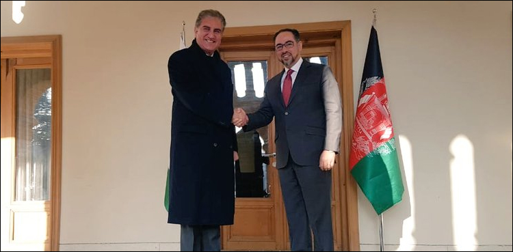 Afghan peace process discussed in Qureshi-Salahuddin meeting in Kabul