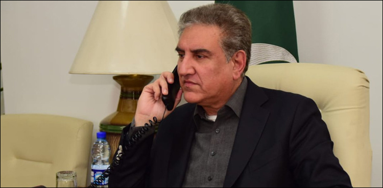 FM Qureshi discusses cooperation, prisoners' exchange with British counterpart