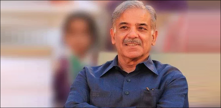 Shehbaz Sharif to chair first PAC meeting today