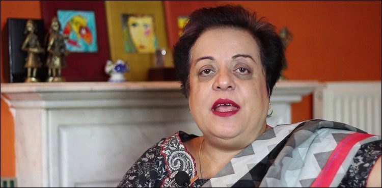 US needs to take notice of violations of religious freedom in India: Shireen Mazari
