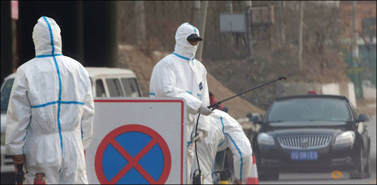 African swine fever hits huge, foreign-invested Chinese farm