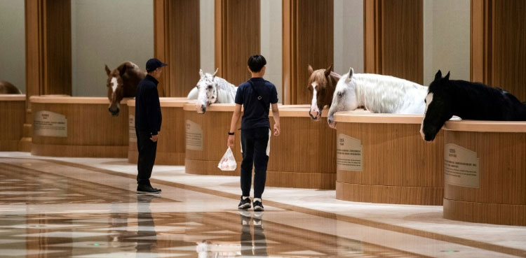 China saddles up with exclusive riding clubs, horse towns