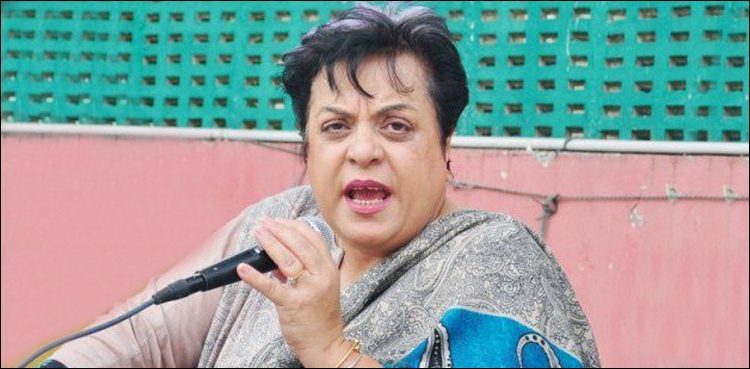 PPP, PML-N nowhere in tribal areas elections: Shireen Mazari