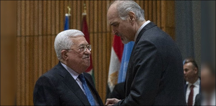 Abbas at UN says Israel blocks Middle East development
