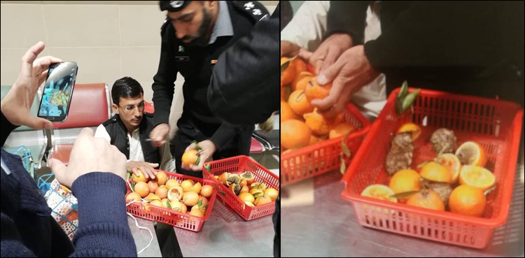 Man trafficking drugs hidden in fruits arrested at Peshawar Airport