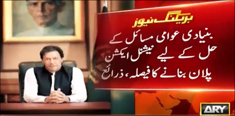 Govt decides to form National Action Plan to resolve public issues