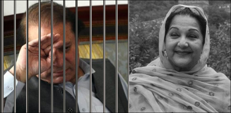"I miss Kulsoom very much in jail," says Nawaz