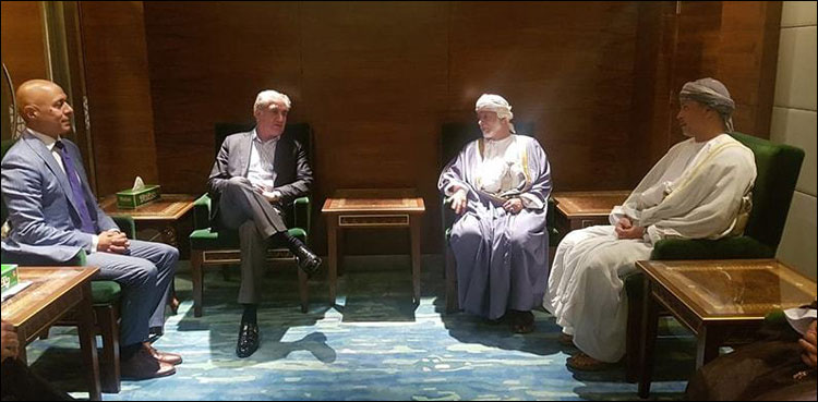 FM Qureshi, Oman minister discuss regional situation