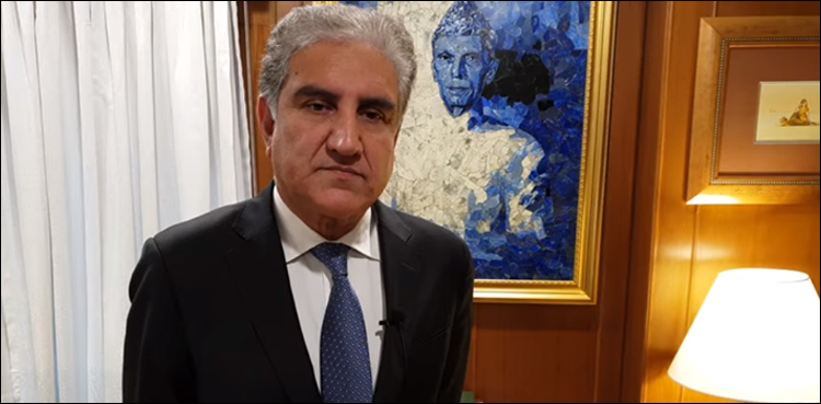 PM Imran's Qatar visit to further expand bilateral relations: FM Qureshi
