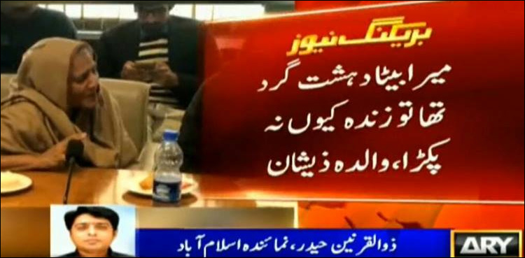 Sahiwal shootout: Senate panel rejects JIT, demands judicial probe