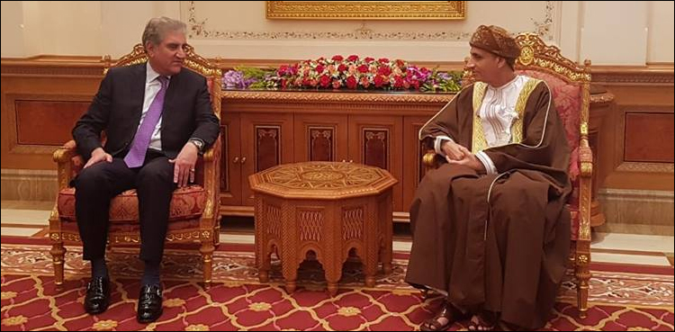 FM Qureshi, Deputy PM Oman agree to enhance bilateral trade