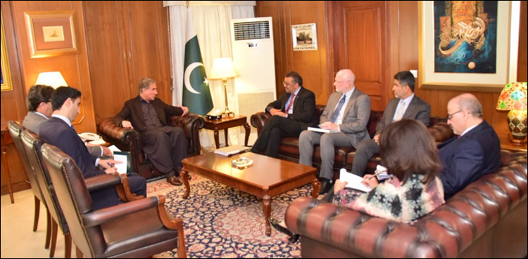 Qureshi discusses polio eradication in meeting with WHO DG