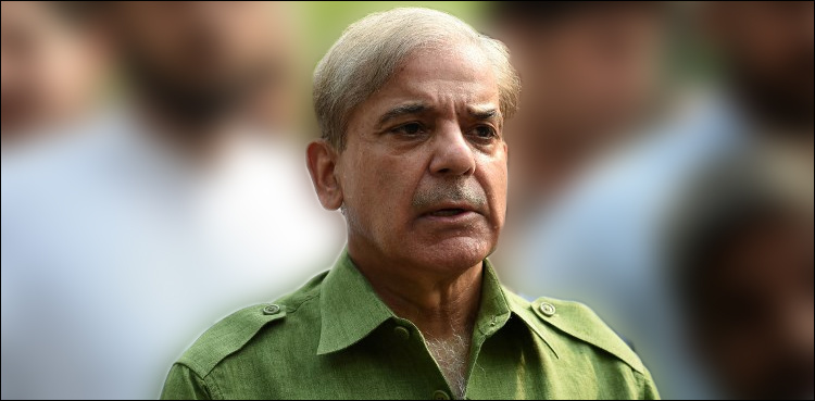 Arguments completed in Shehbaz’s bail plea in LHC