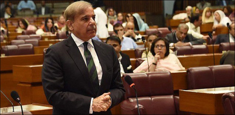 Shehbaz slammed for making ‘personal attacks’ on PM