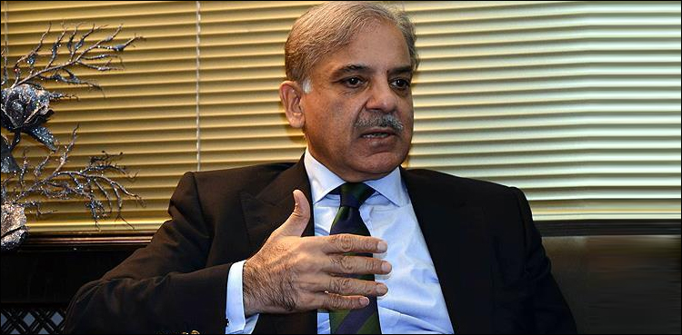 Shehbaz Sharif seeks bail from LHC on medical grounds