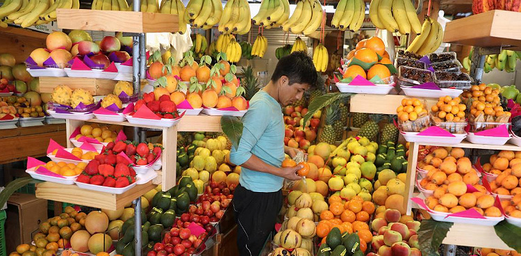 Scientists reveal 'ideal diet' for peoples' and planet's health