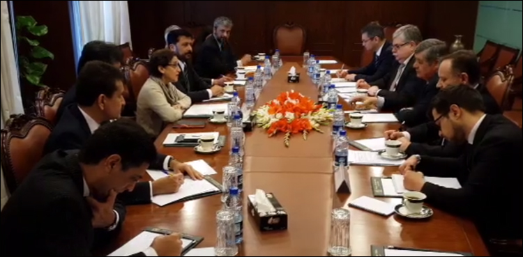 Russia's special envoy lauds Pakistan's efforts for Afghan peace