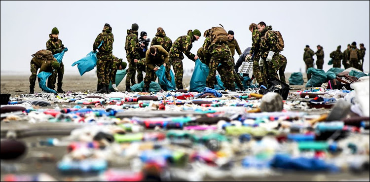 Shipping firm says will pay for Dutch island clean-up