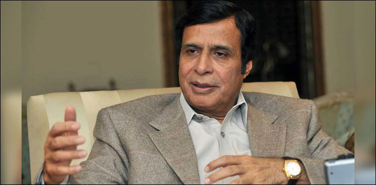 Pervez Elahi reiterates support to PTI-led government