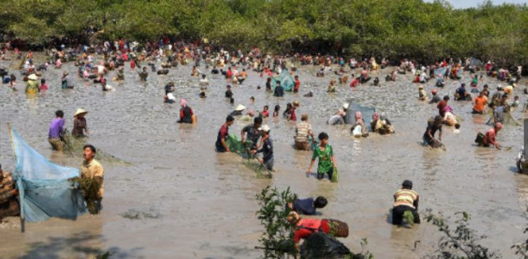 Illegal fishing continues in Indus despite Punjab ban