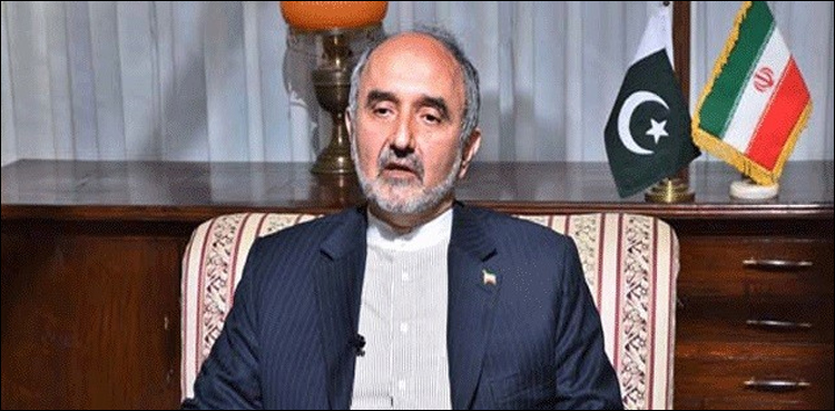 Pakistan, Iran will have to face terrorism issue jointly: Mehdi Honardoost