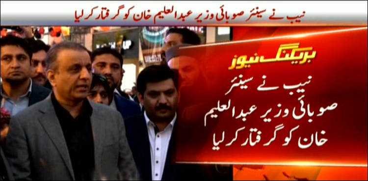 Senior Punjab minister Aleem Khan resigns after arrest by NAB