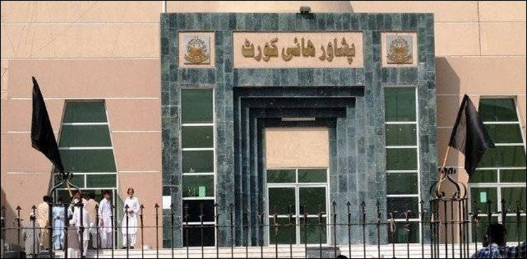 PHC dismisses two judges over corruption, power abuse