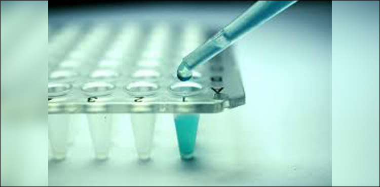 Fountain of youth? Study finds new anti-ageing compound in plant