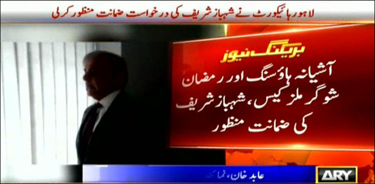 LHC grants bail to Shehbaz, orders release