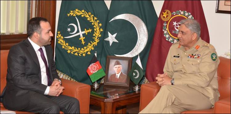 Afghan envoy hails Pakistan’s efforts for peace process