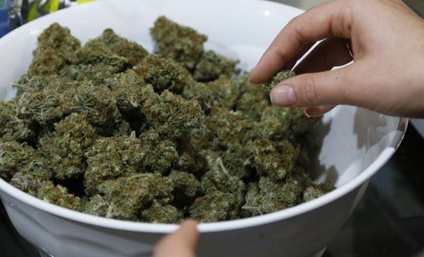 Court sends weed case accused to jail on judicial remand