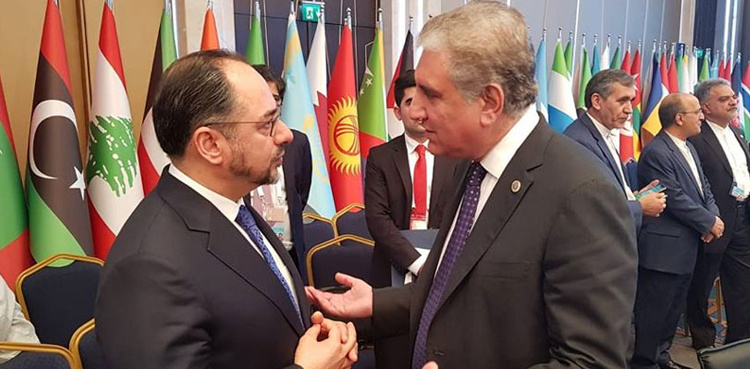 Pakistan supports Afghan-owned peace talks: FM Qureshi