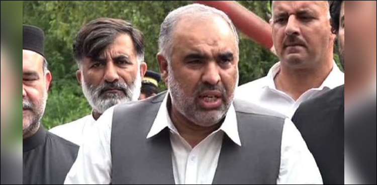 Several decisions to be taken in better interest of the country: Asad Qaiser