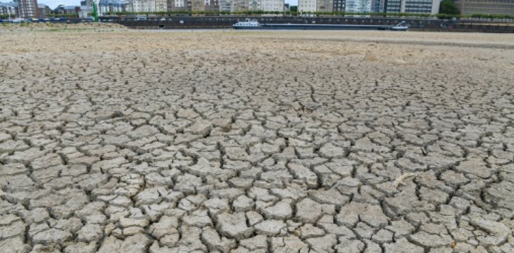 Germany records hottest year in a century