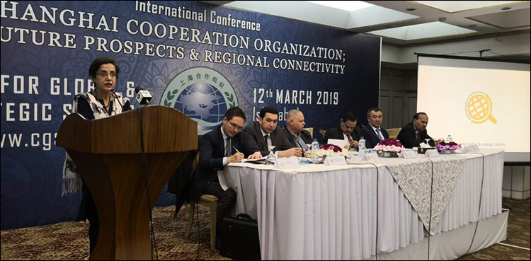 Janjua appreciates int'l community’s role in defusing Indo-Pak tensions