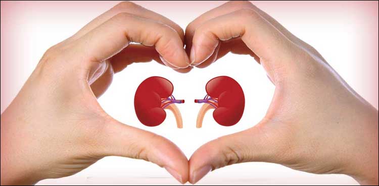 Benazir Bhutto hospital conducts first successful kidney transplant