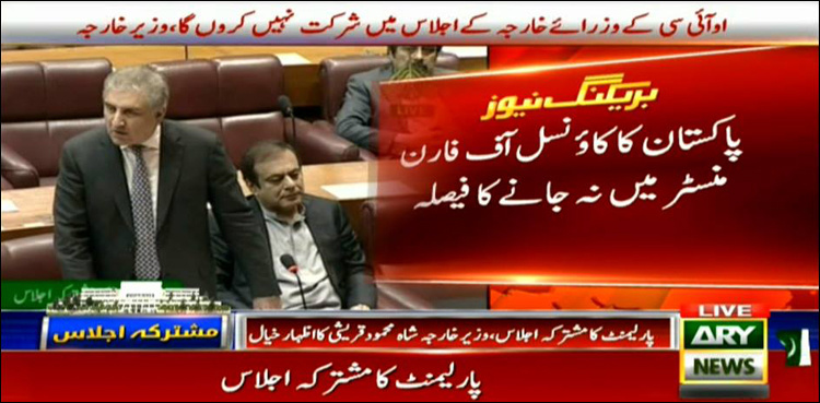 FM Qureshi announces not to attend OIC meeting