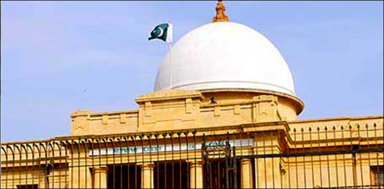 Affectees seek Supreme Court review of encroachments case verdict