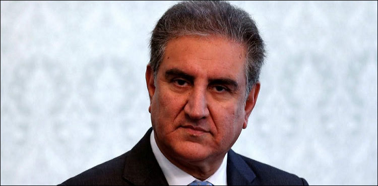 FM Qureshi discusses Mideast crisis with Egyptian counterpart