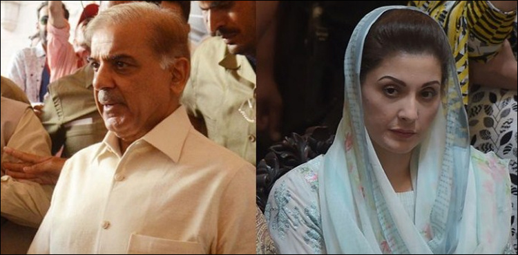 Shehbaz, Maryam call on Nawaz Sharif at Kot Lakhpat Jail