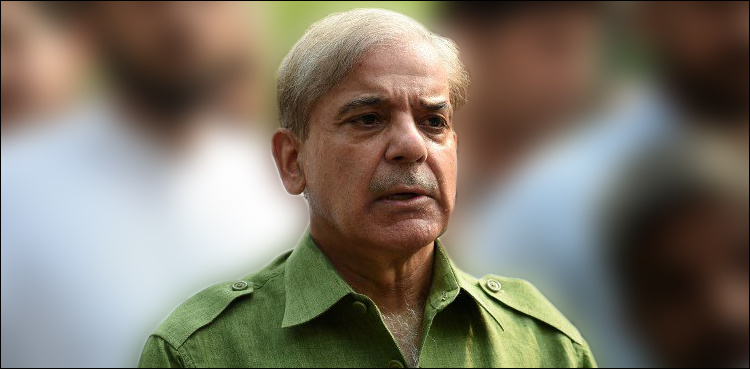 PM Shehbaz Sharif appears before court in money laundering case
